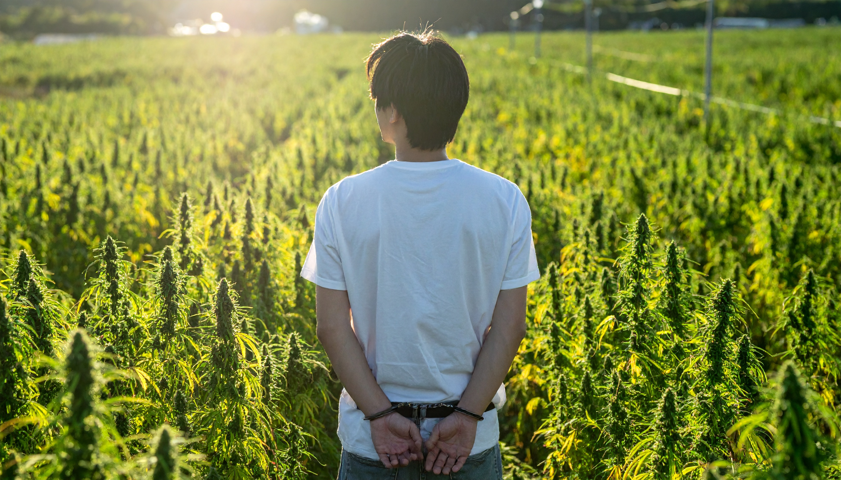 若手俳優2名、共同で乾燥大麻所持の疑いで逮捕