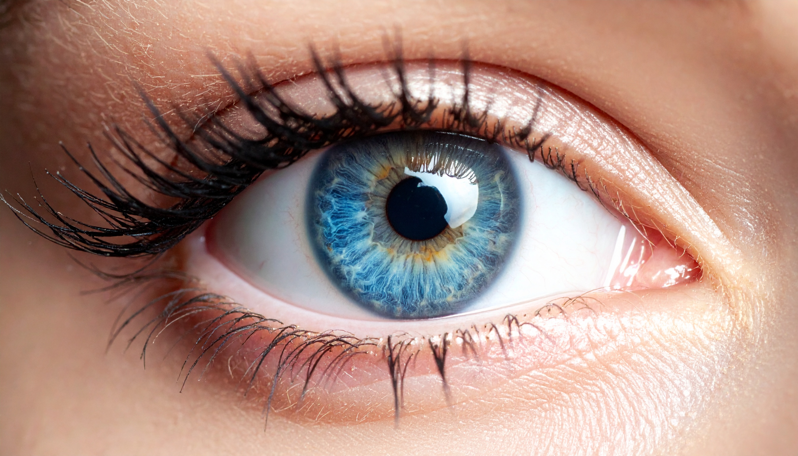 欧州学会でアルゼンチン老眼点眼が注目、メガネ生活に影響か