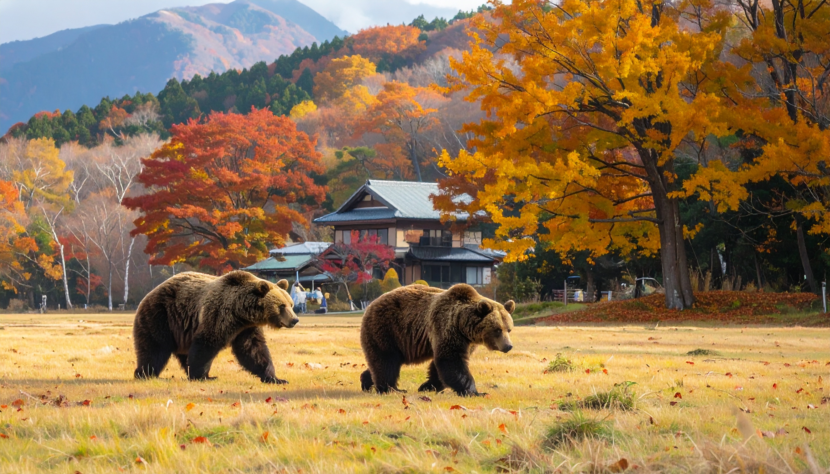札幌市が銃猟判断、発砲中断でヒグマ退去、住民行動で安全課題浮上