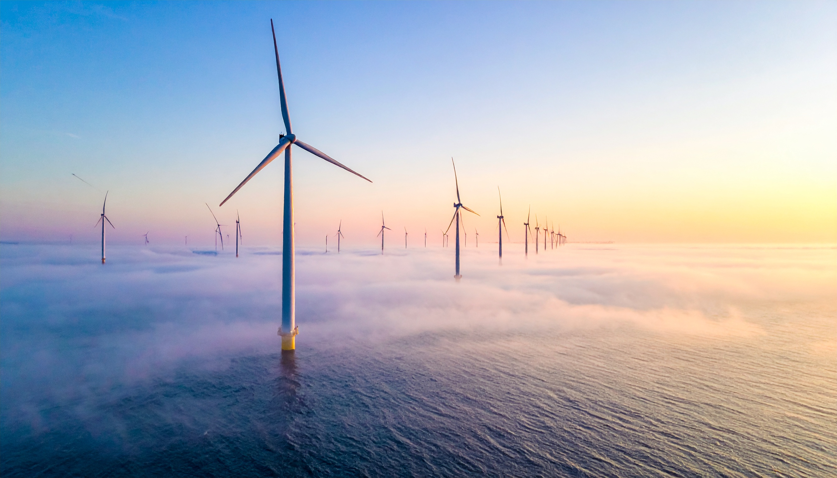 トランプ政権のケネディ氏がCDCに漁業と健康の影響調査指示、洋上風力が公衆衛生へ波及