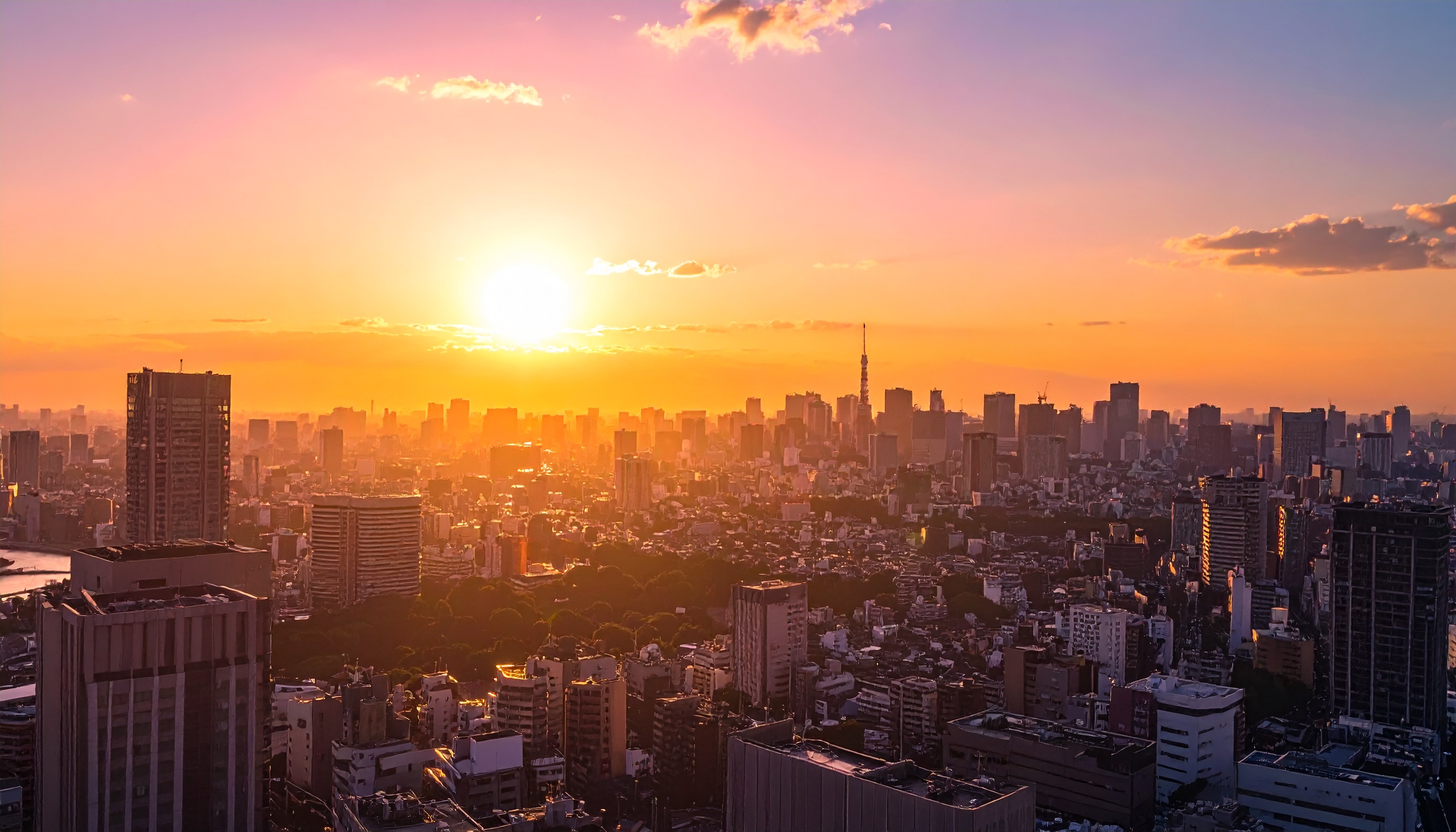 小野田紀美担当相、違反に厳格対応を表明、生活者の萎縮回避を強調