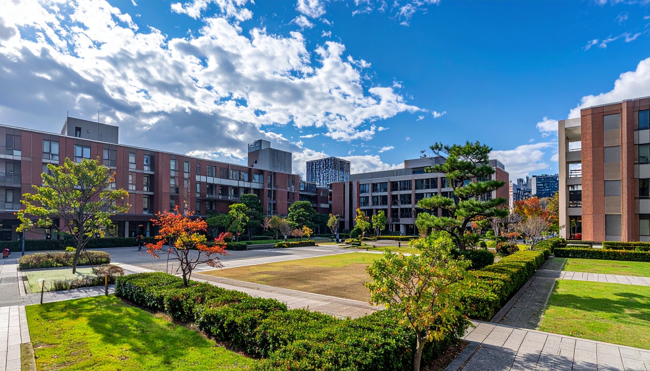 文部科学省が改革方針提示、大学に連携・統合を促し第5期へ反映