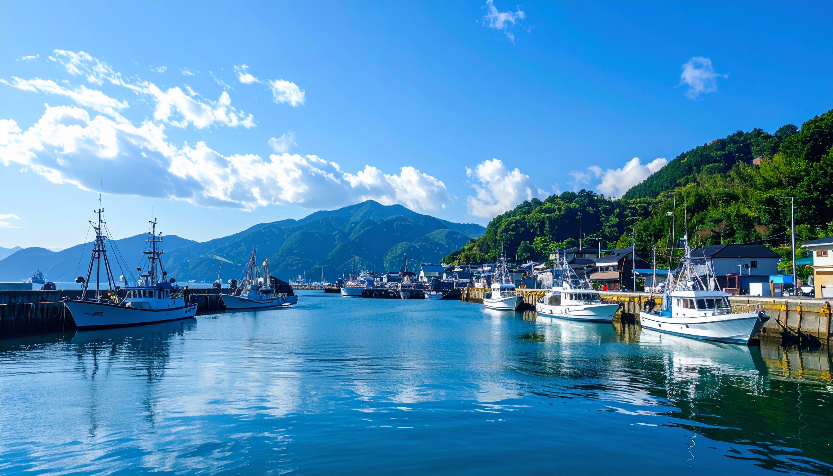 中国外務省、検査強化と独自監視を要求し対日再開を条件付きに