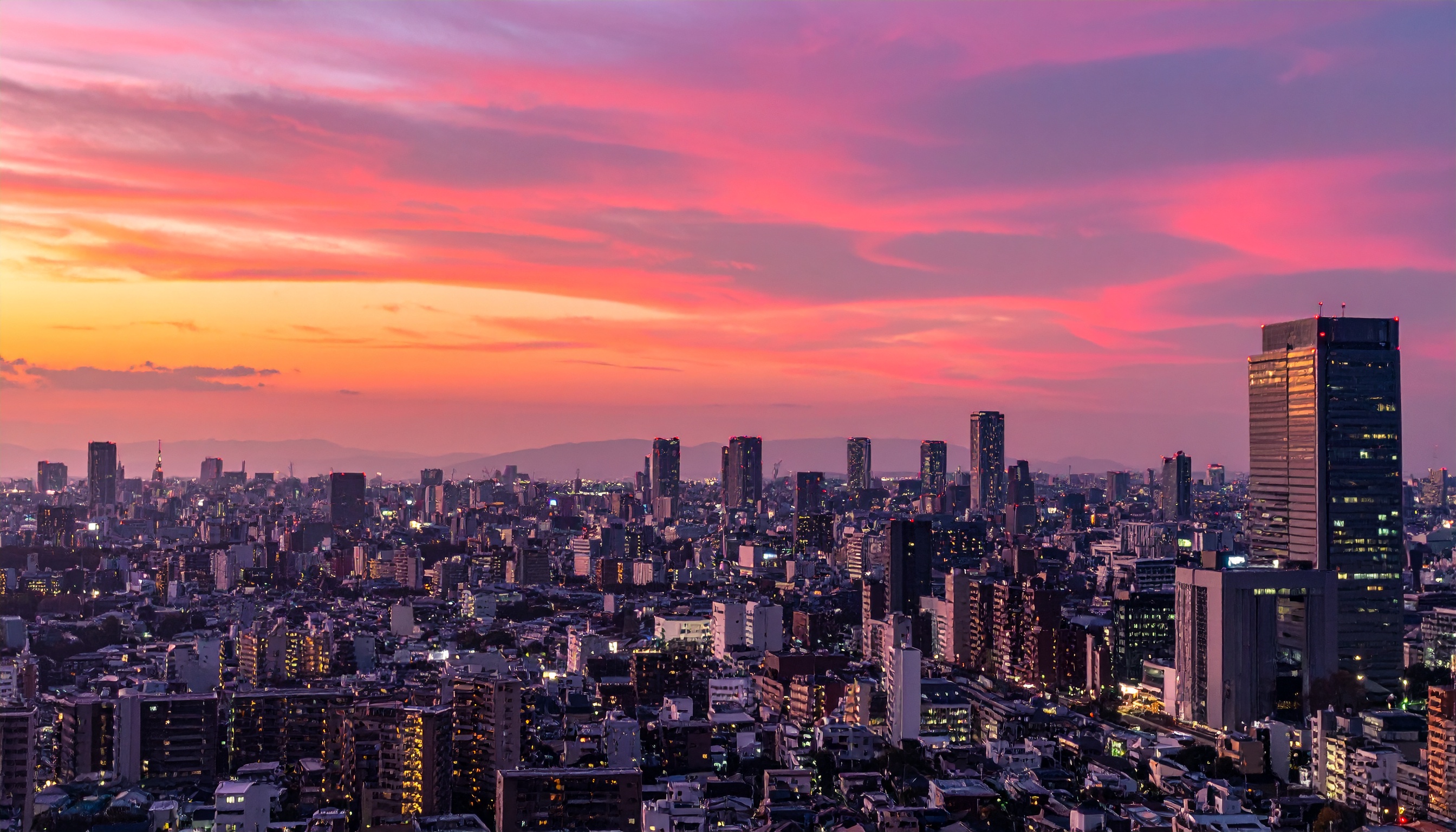 在留要件厳格化前に大阪で資本金500万円法人設立が急増、窓口で証明書が積み上がる