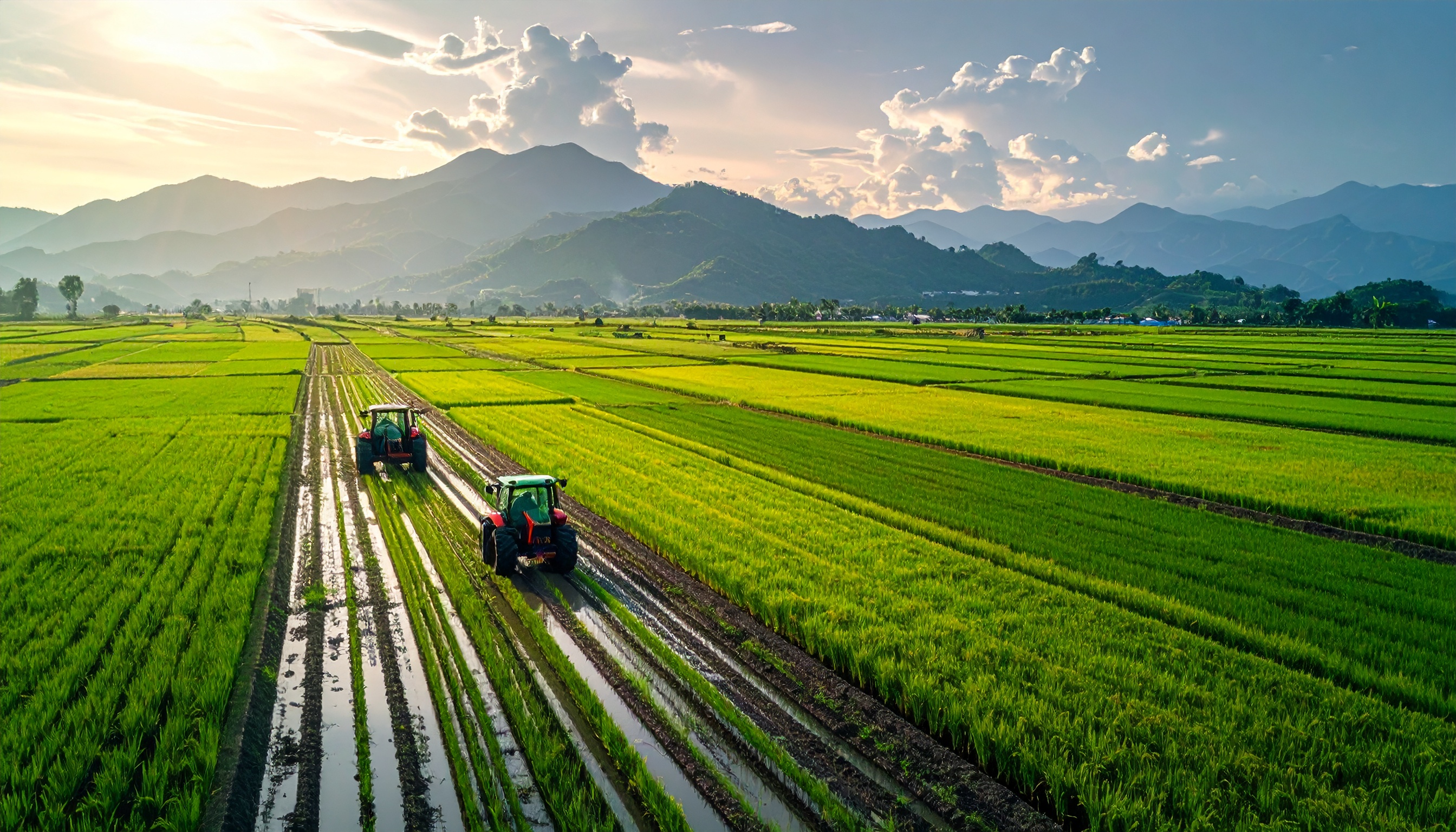 鈴木憲和農相が生産目安711万トン示し増産路線を停止、農家に計画見直し迫る