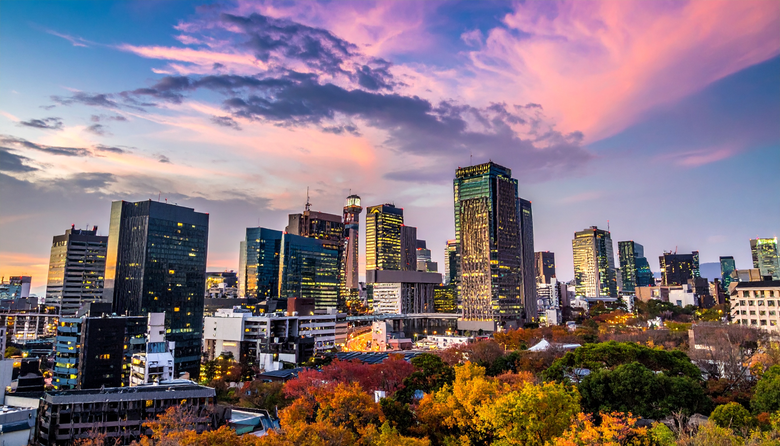 大阪市平野区の不動産経営の台湾出身女性を書類送検、捜査は住居出入りと雇用実態を追及