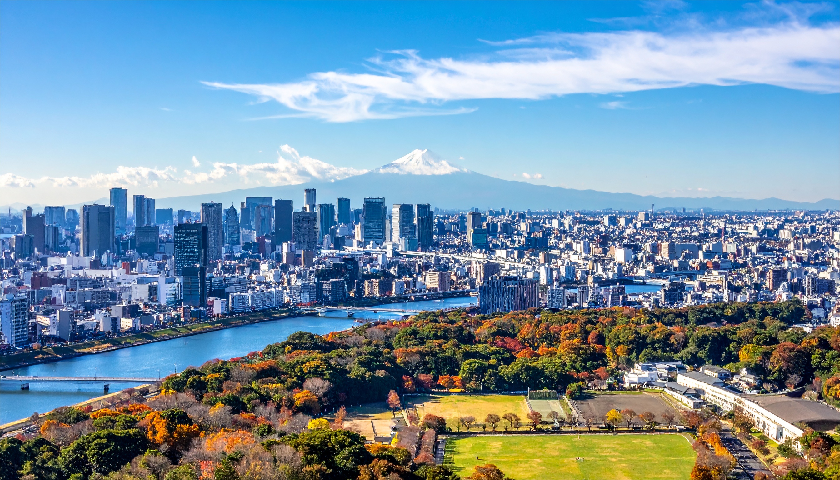 参院予算委で高市早苗首相、献金見直しの工程明示を拒否し定数1割削減を容認