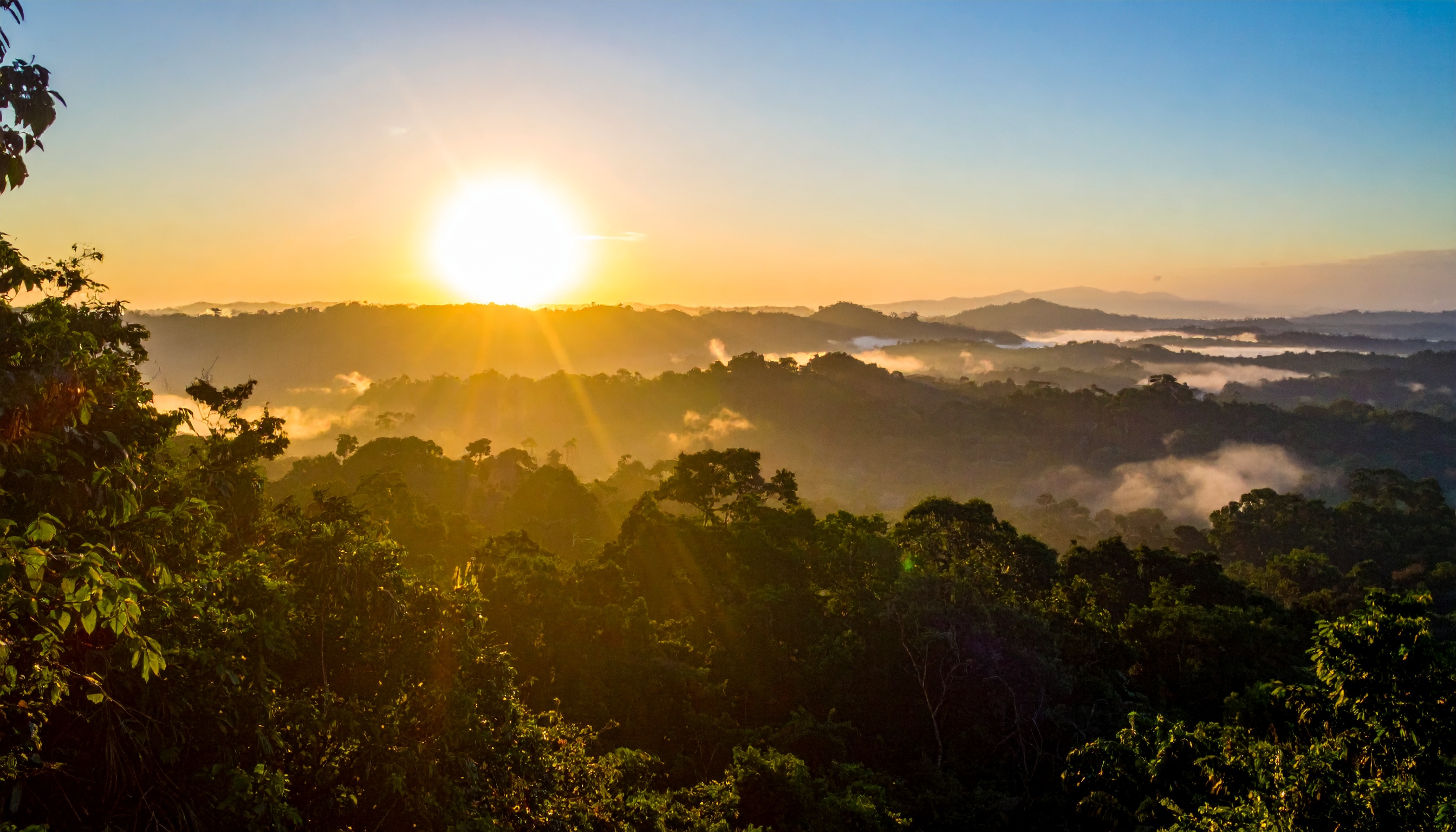 慈善団体連合、ブラジルCOP30で3億ドル投資表明、健康被害対策を強化