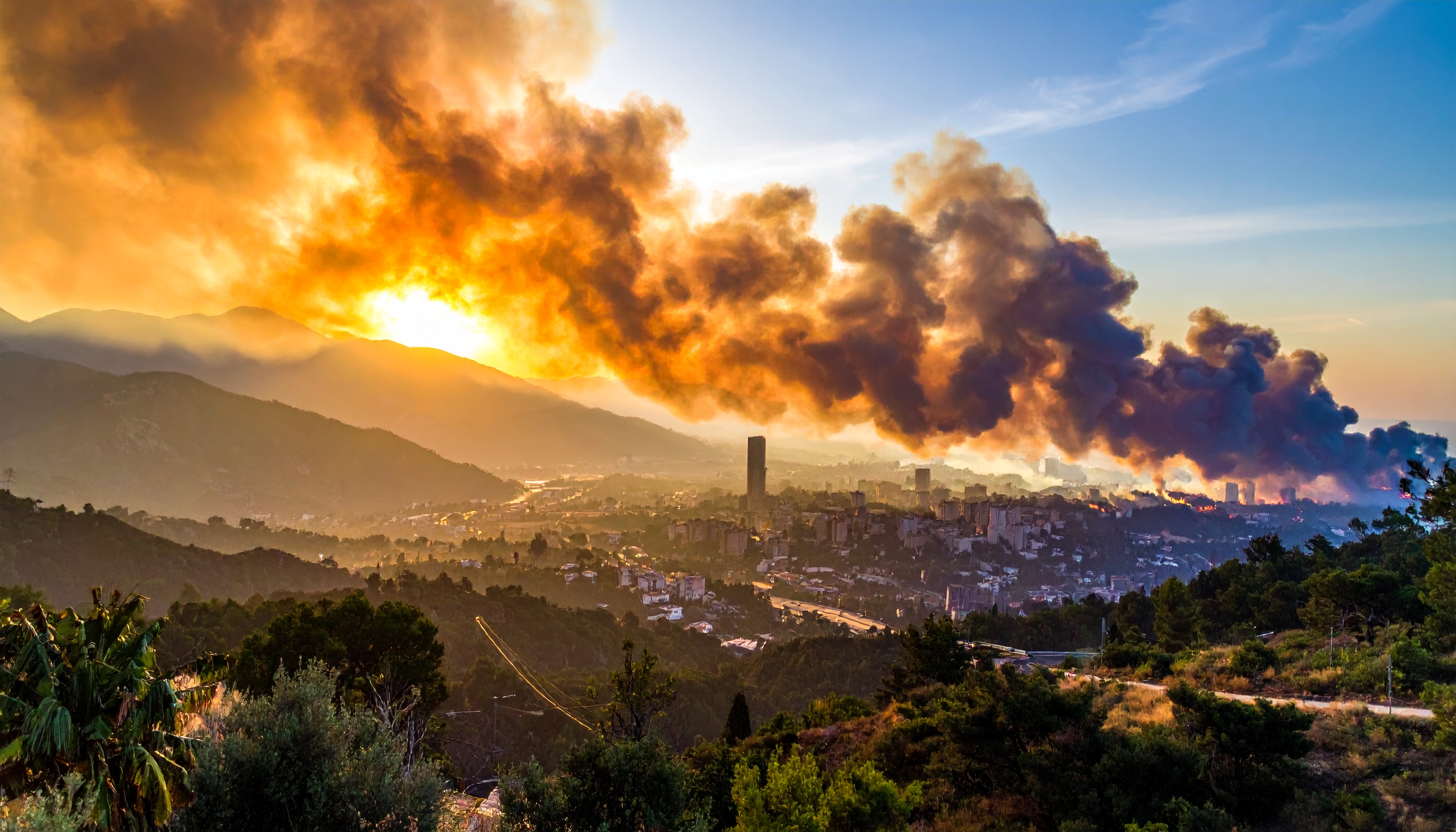 米陸軍代表団、ウクライナ・キーウで合意圧力 ゼレンスキー大統領に重い選択迫る