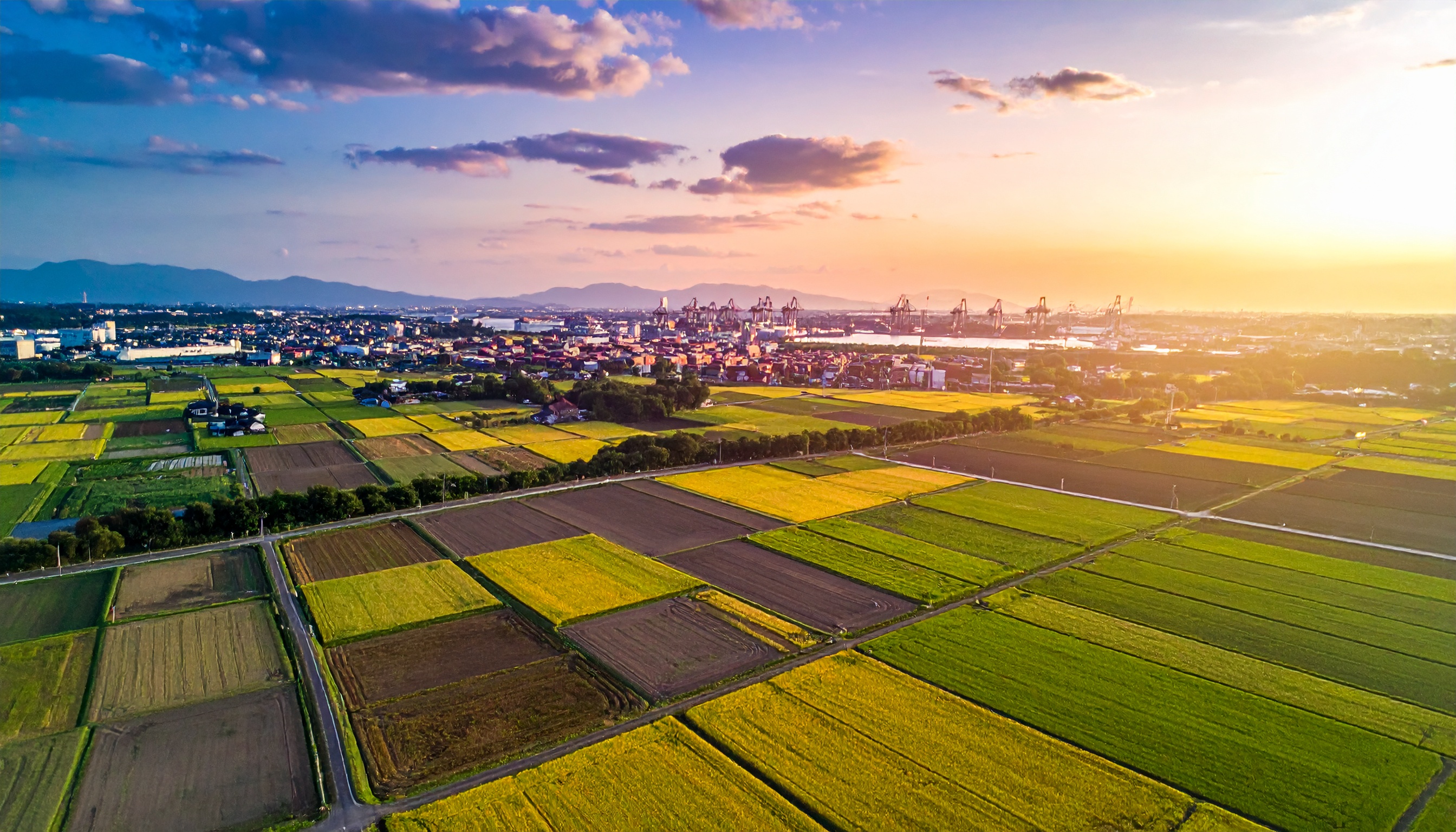 北海道・農場から沖縄・ホテルまで 外国人労働者が全国へ広がる