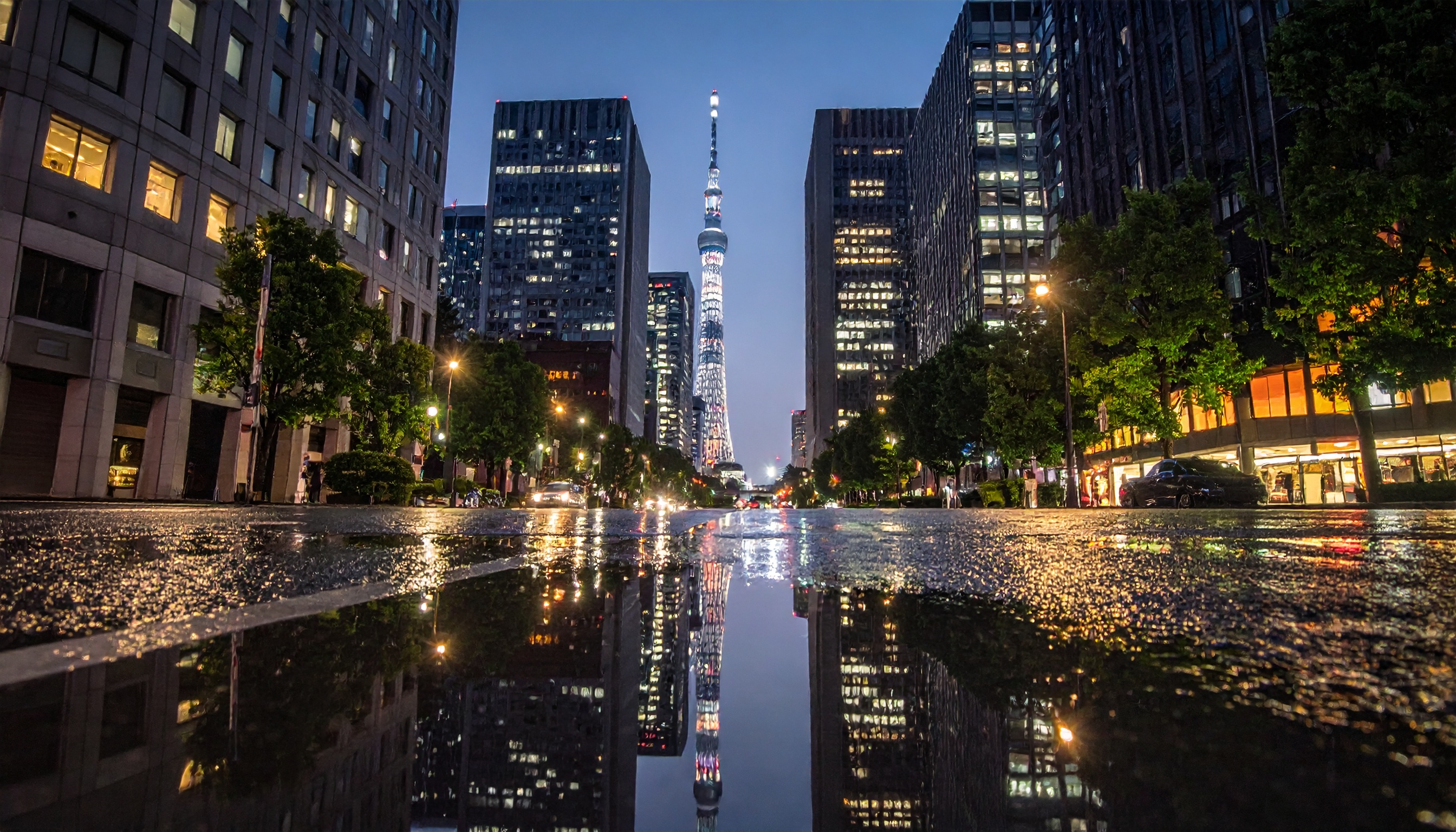 高市早苗首相 日本維新の会と衆院定数を約1割削減へ、465議席を約45減