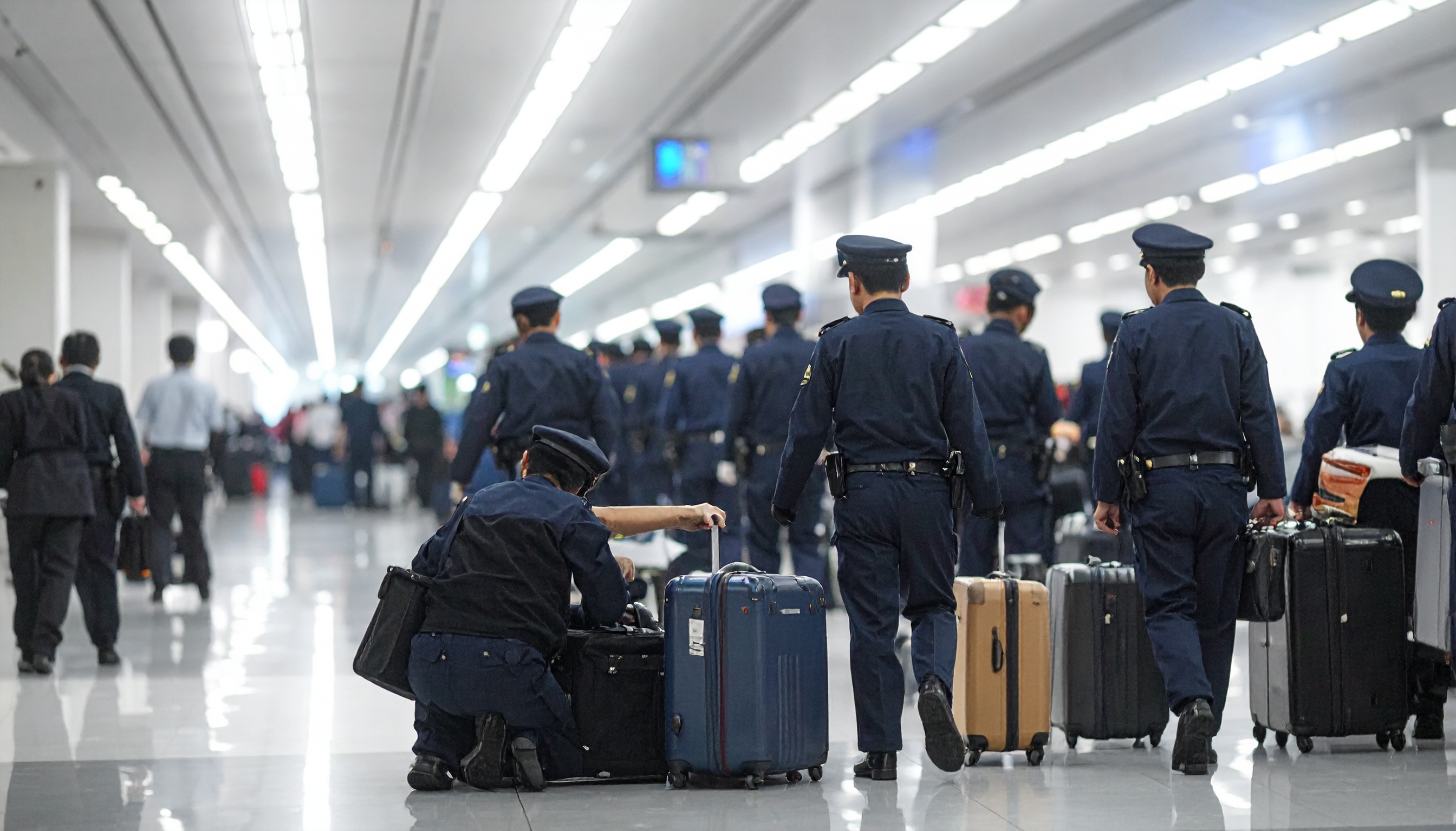 タイ発旅客便から乾燥大麻31kg 関西空港でベトナム国籍女2人起訴