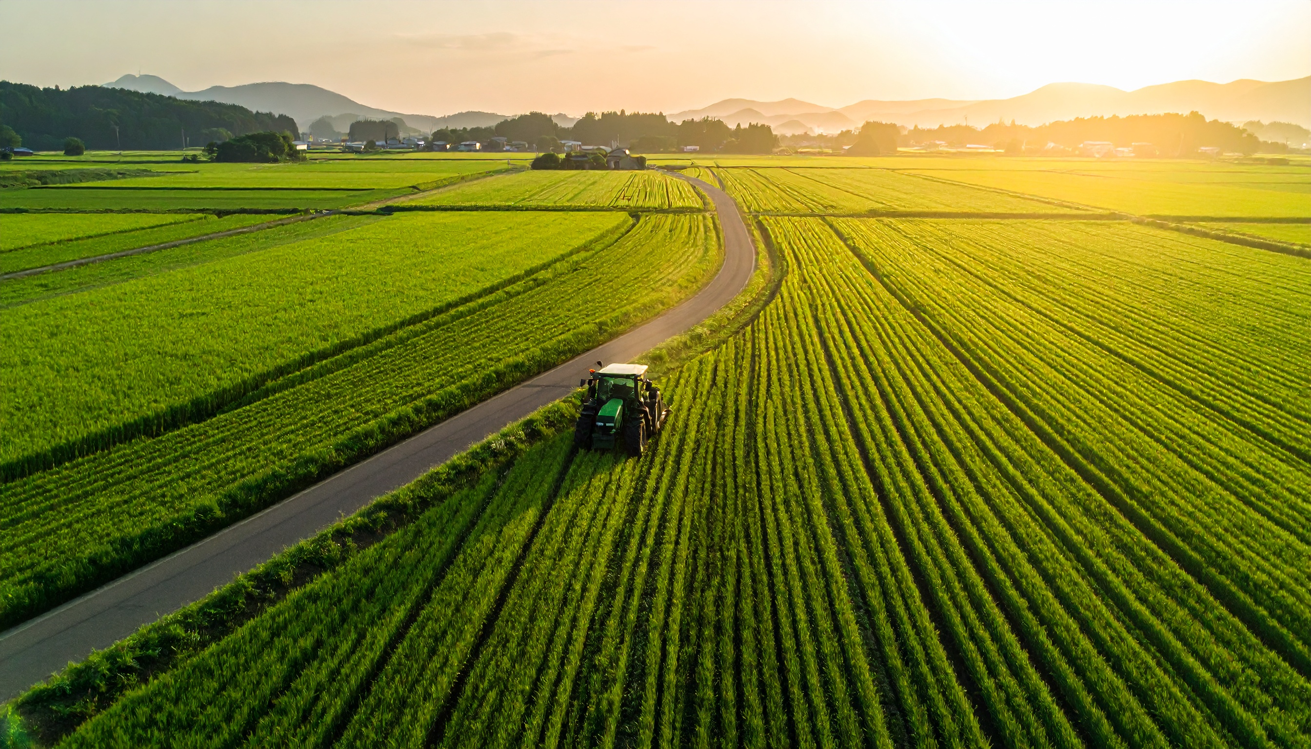 農林水産省が農地を大区画化、自動走行トラクター対応へ 通信網や水路も整備