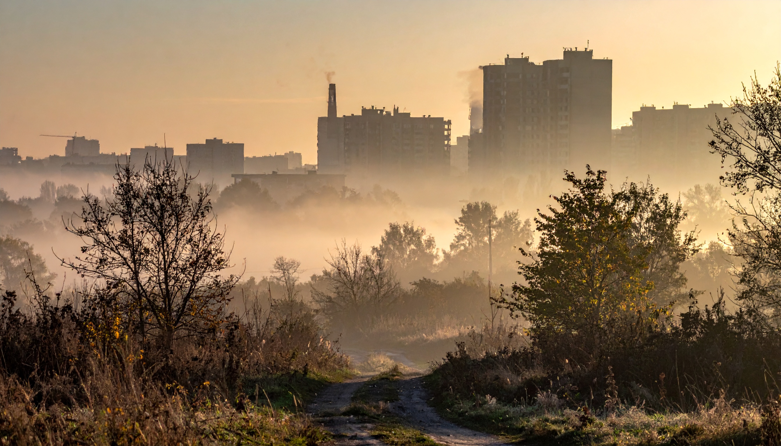 ウクライナ大統領がトランプ政権特使と和平で実質協議、政治ルート始動
