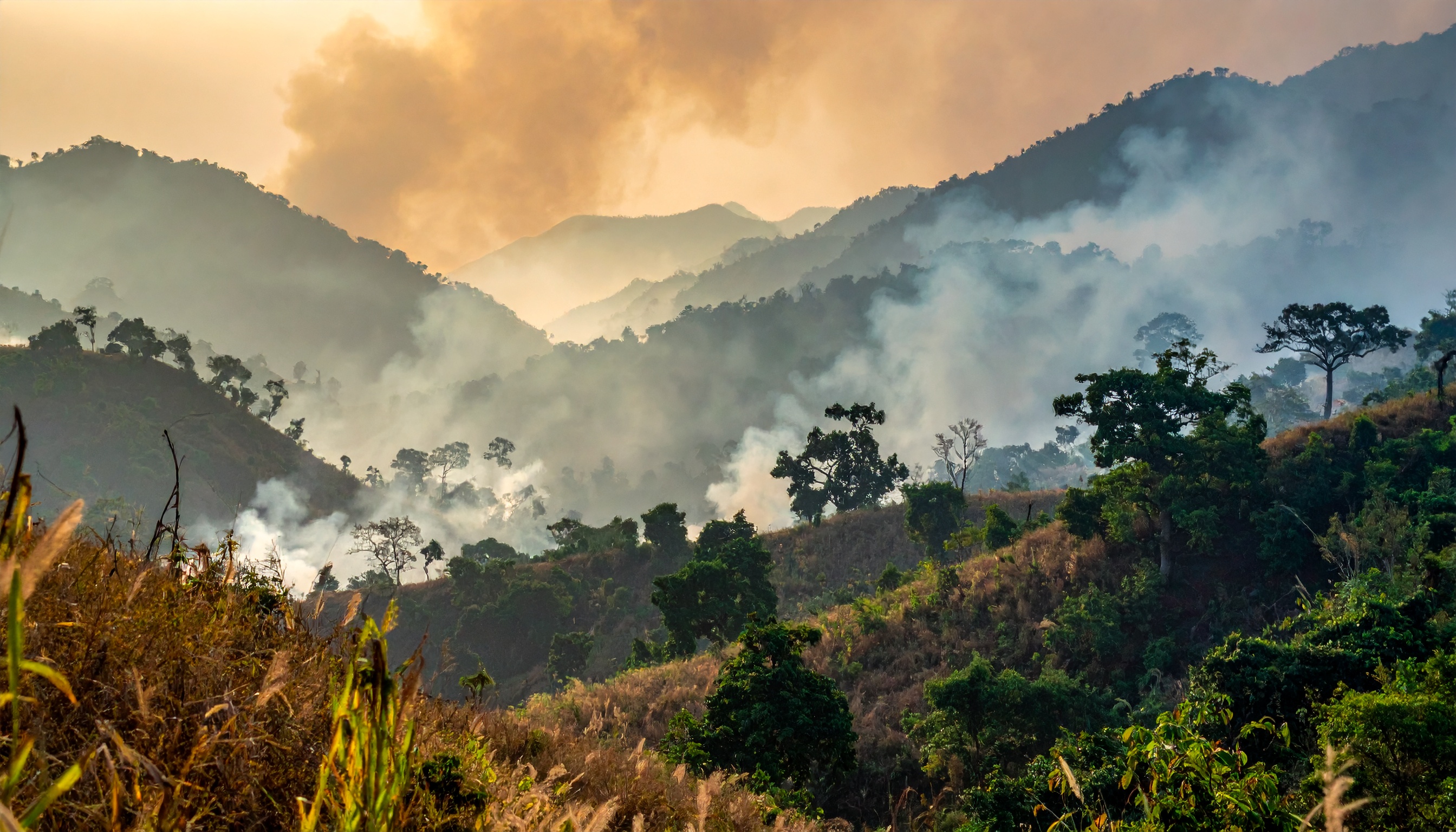 タイ軍、カンボジア国境で空爆 ウボンラチャタニ県で兵士死傷