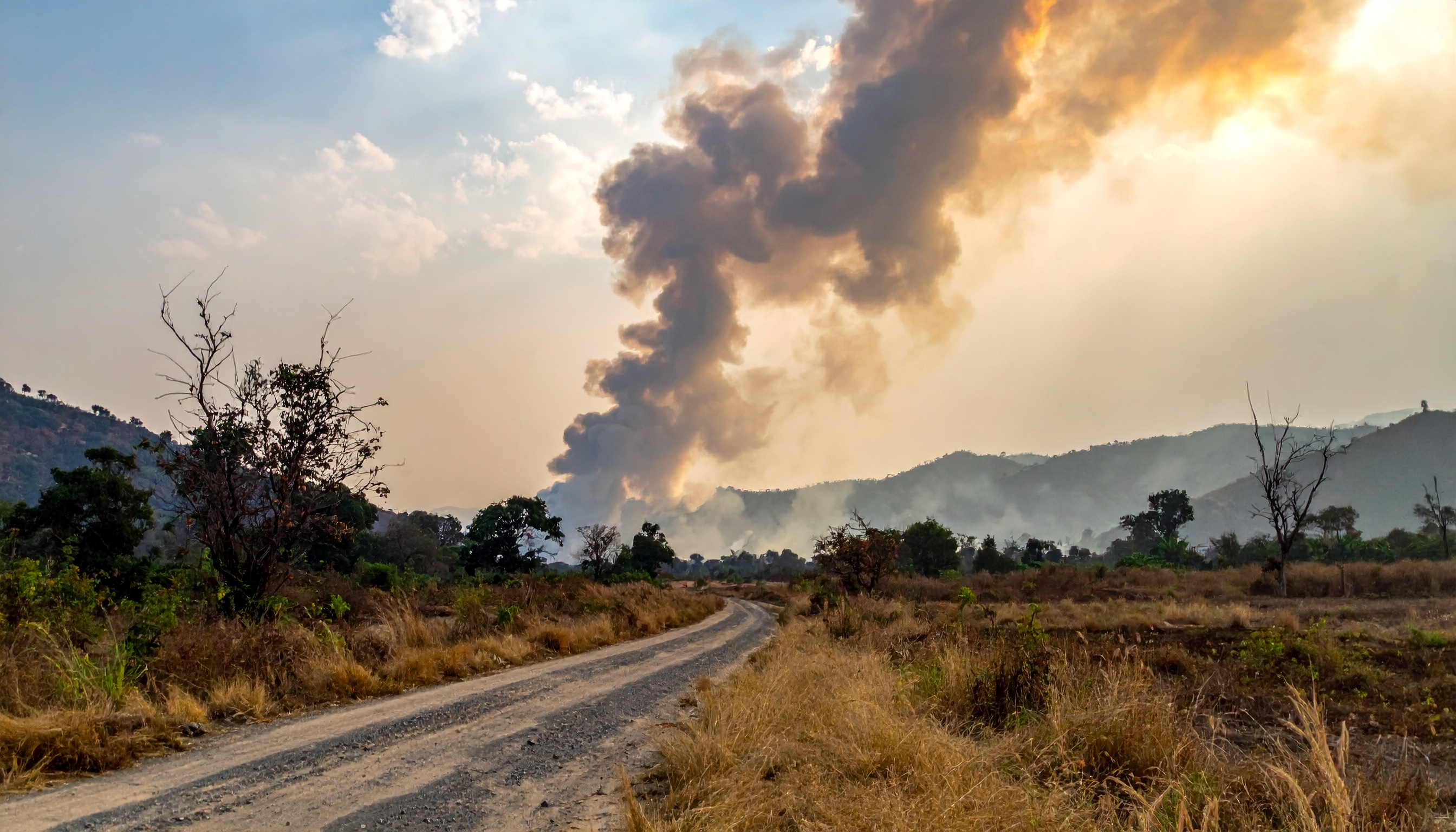 タイ・カンボジア国境で戦闘拡大 死者10人超・14万人避難