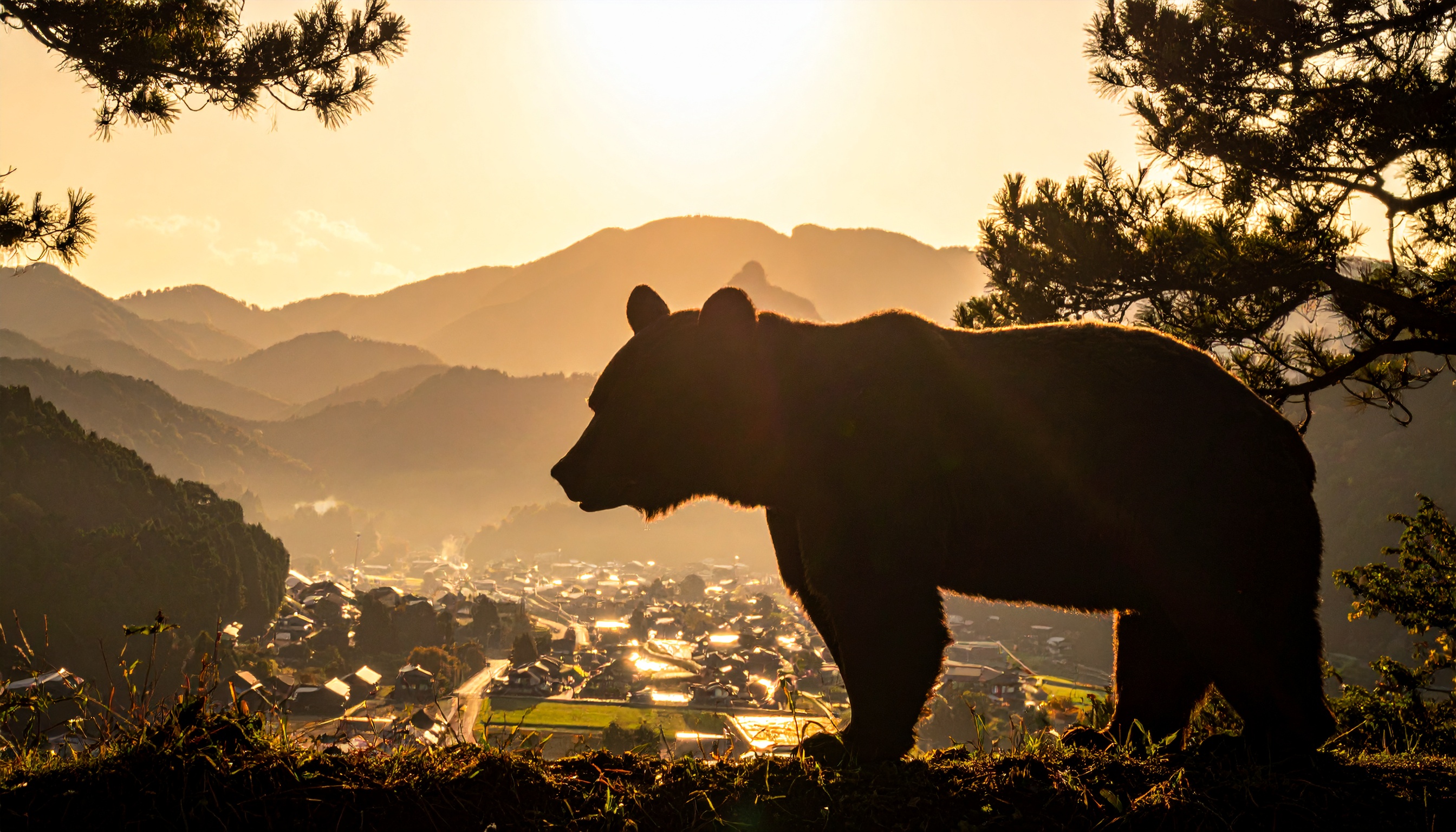 日本漢字能力検定協会が発表 京都・清水寺で今年の漢字は「熊」