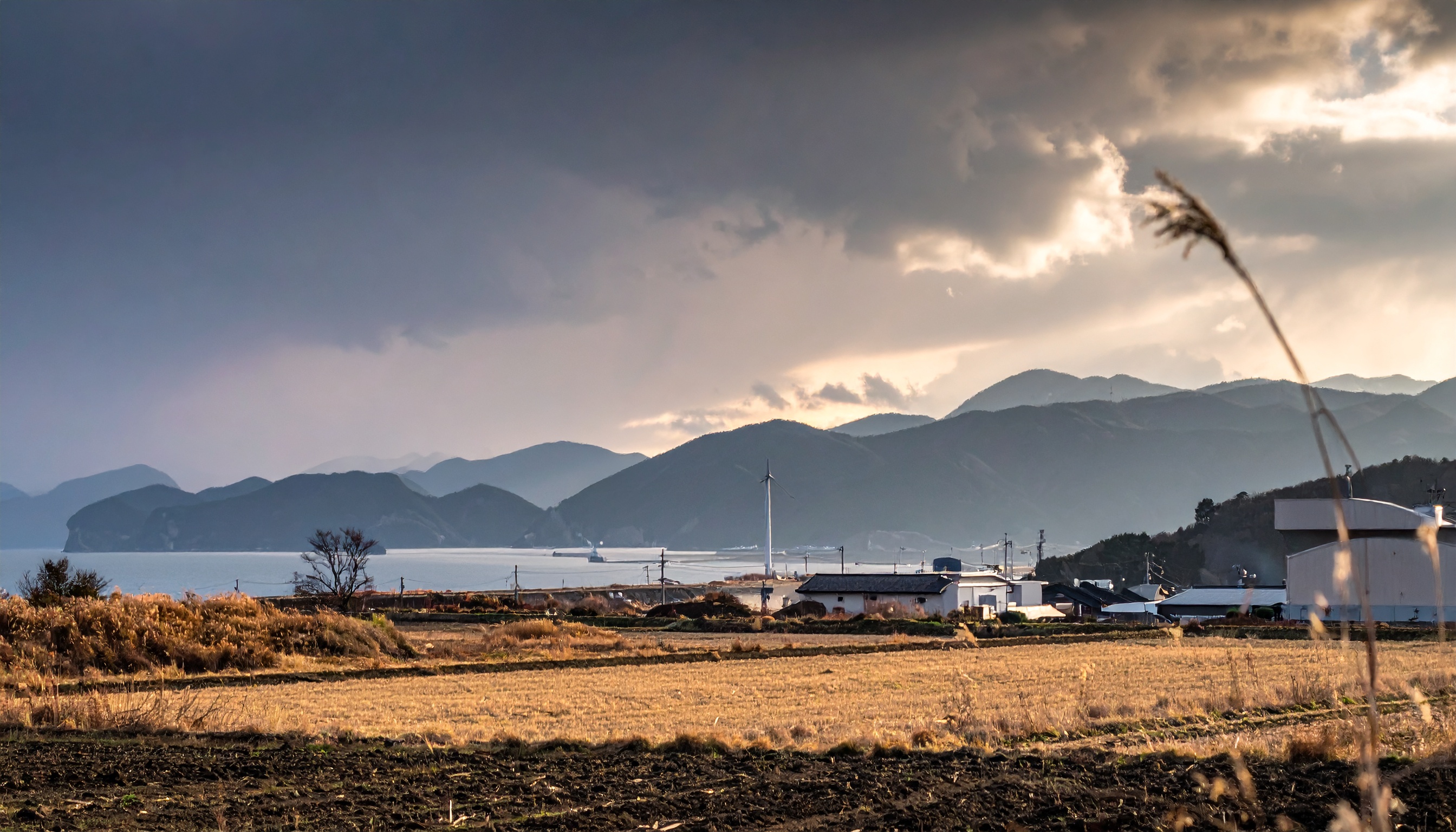 政府、2026年度から重要土地取引法人の国籍登録を義務化 外国資本の抜け道封じ