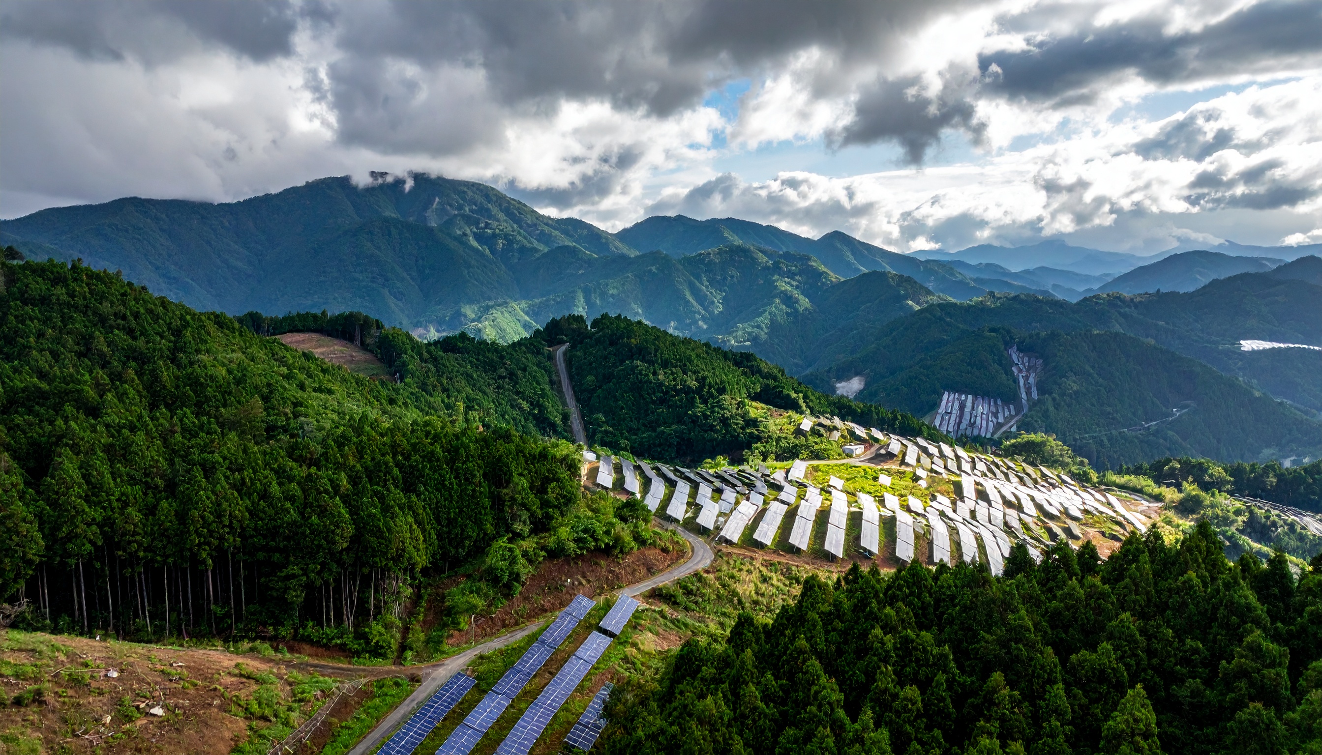 政府、2027年度以降にメガソーラー支援停止へ 環境評価と監視を強化