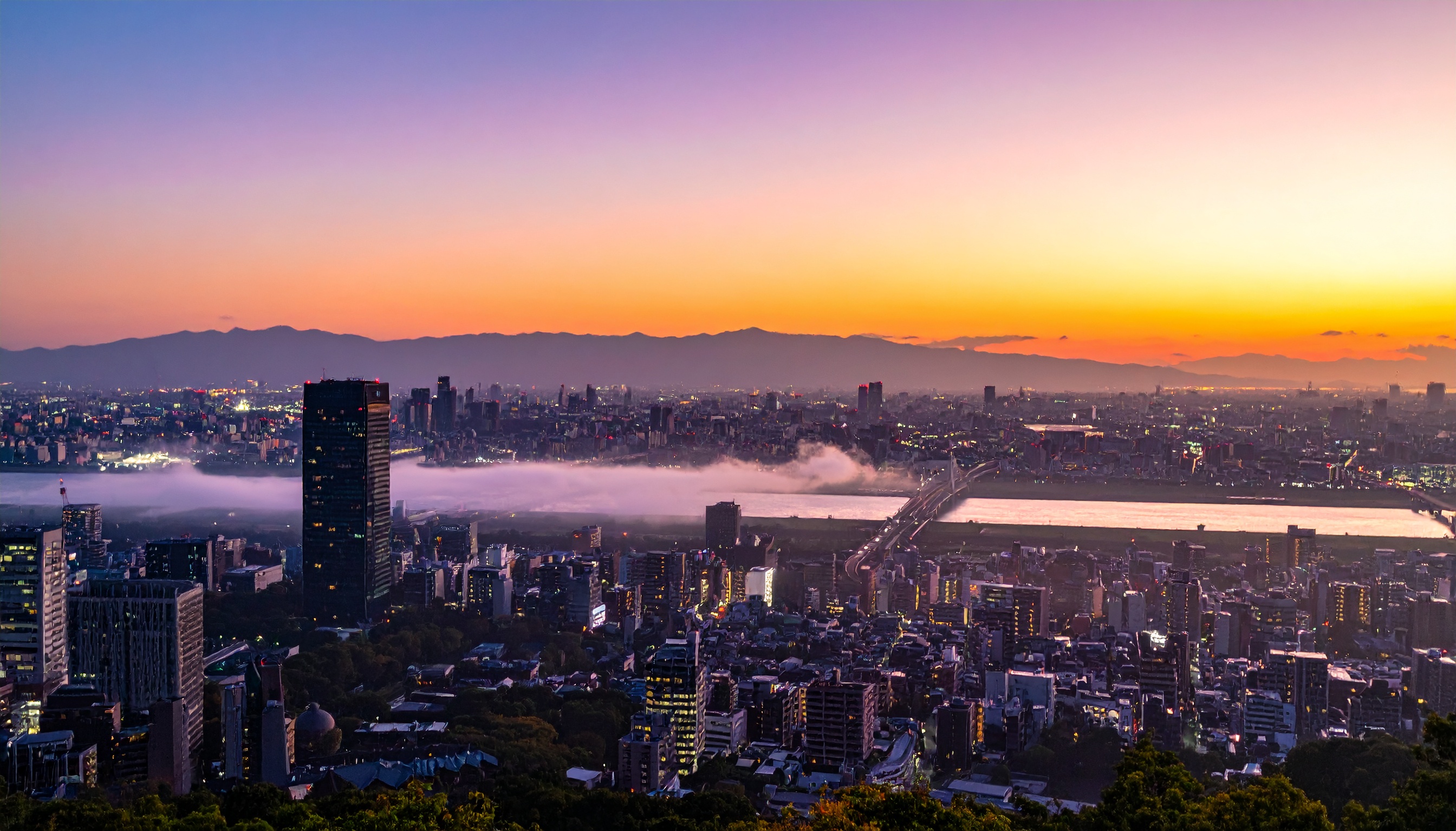 日本維新の会、国会議員から地方議員まで国保軽減疑惑の実態調査へ