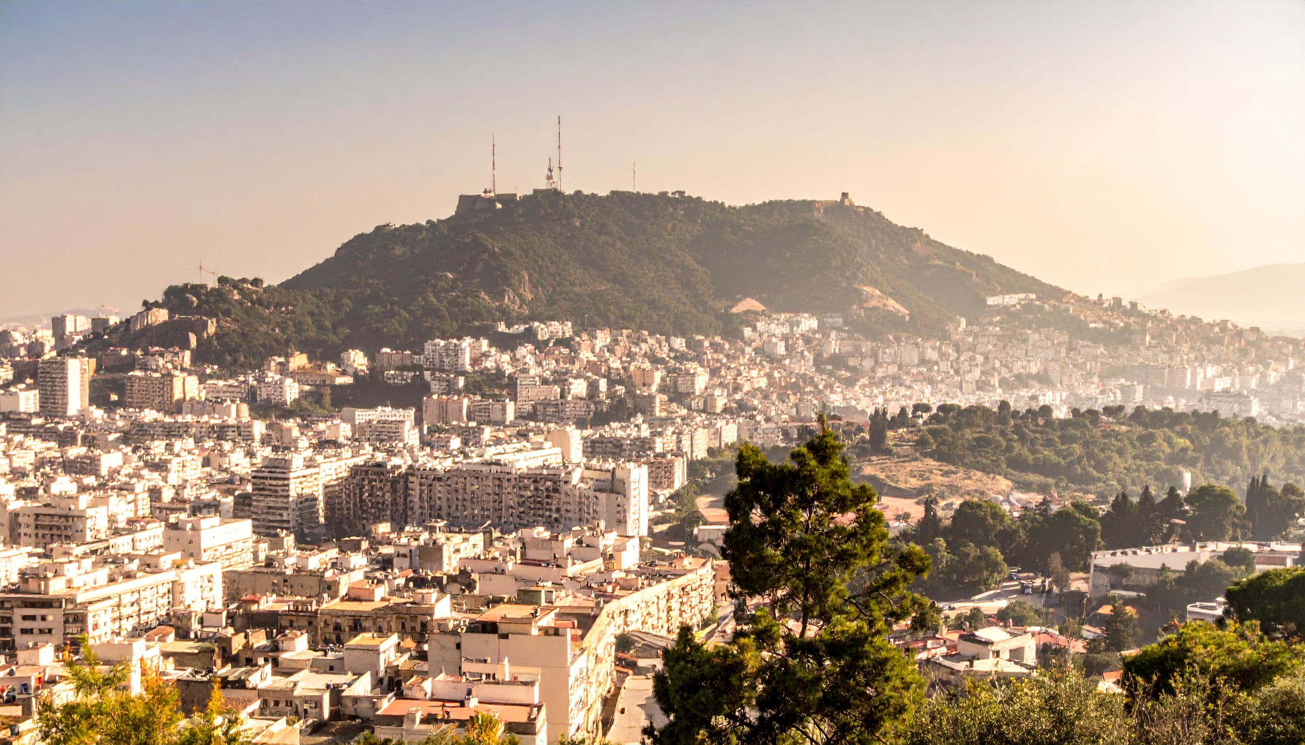 アルジェリア国民議会 フランス植民支配を国家犯罪化、謝罪と賠償要求