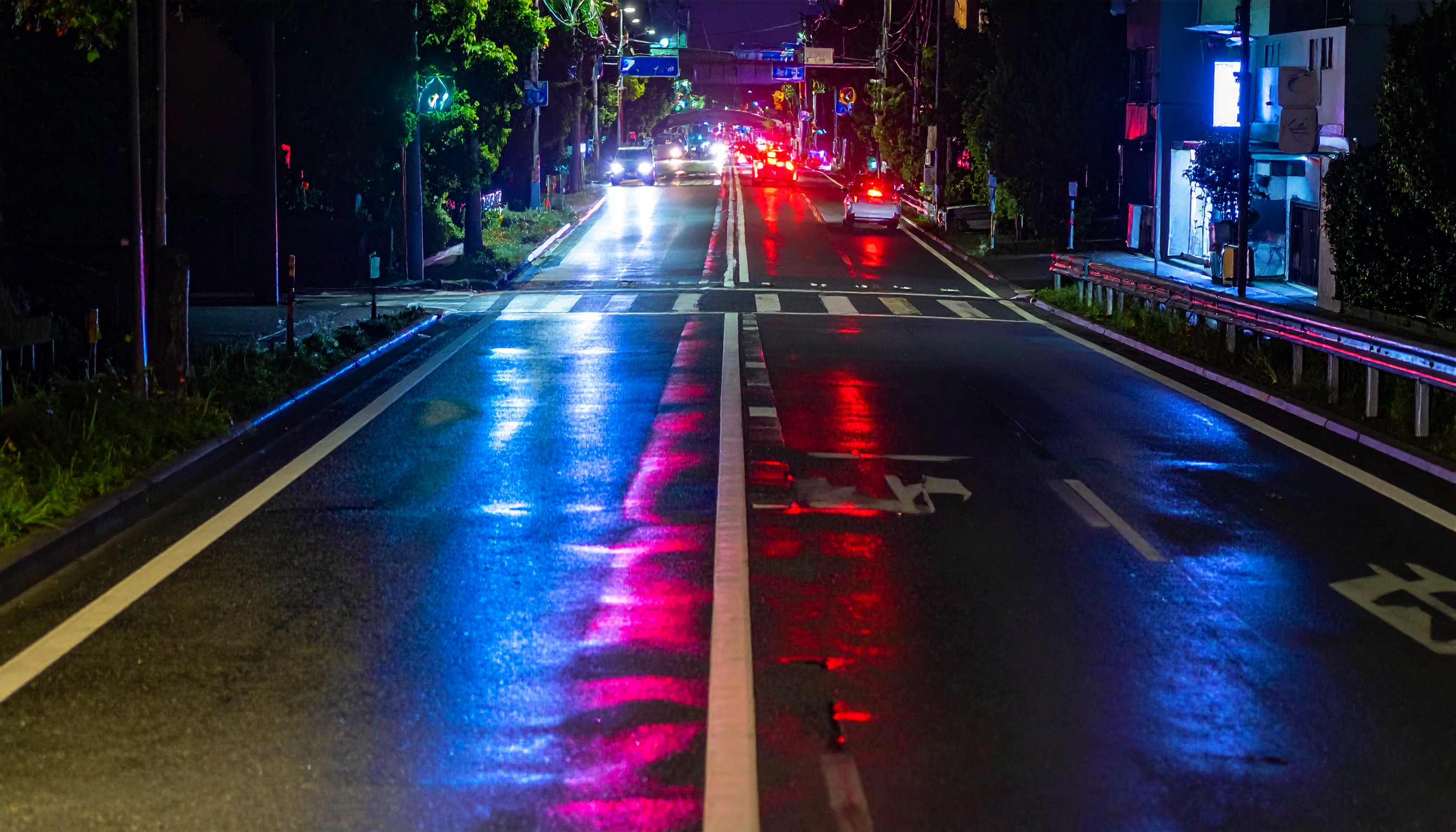 千葉地裁 千葉県旭市の職務質問中、警官が拳銃発砲 タイ国籍の男に実刑3年6月