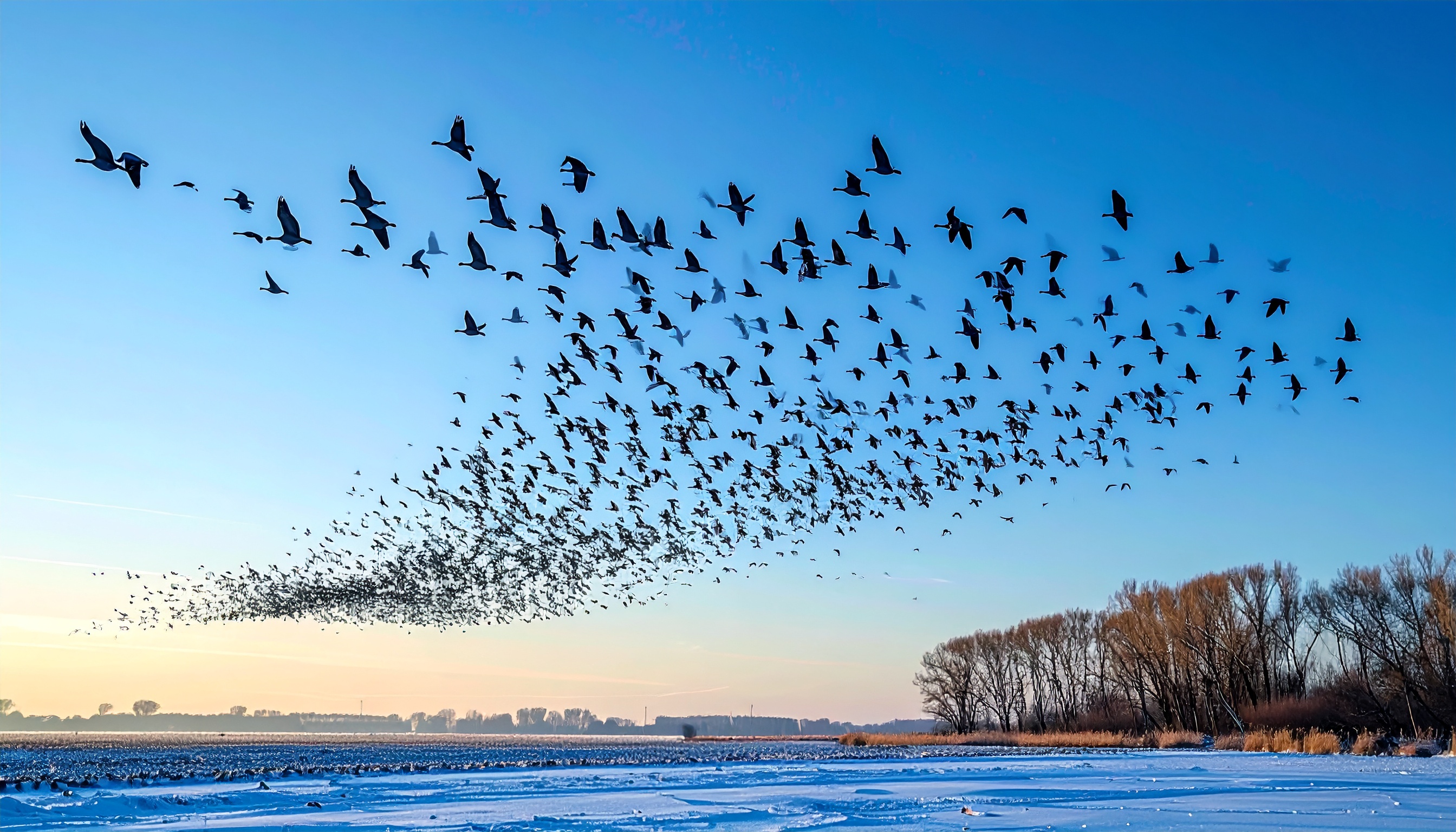 安住淳幹事長が説明 立憲民主党衆院議員144人が中道改革連合に合流へ