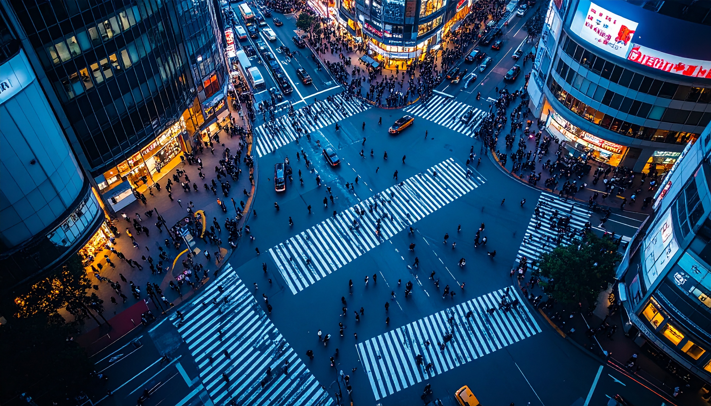 日本維新の会、外国人比率に上限目標を提案 総量管理を国家戦略化