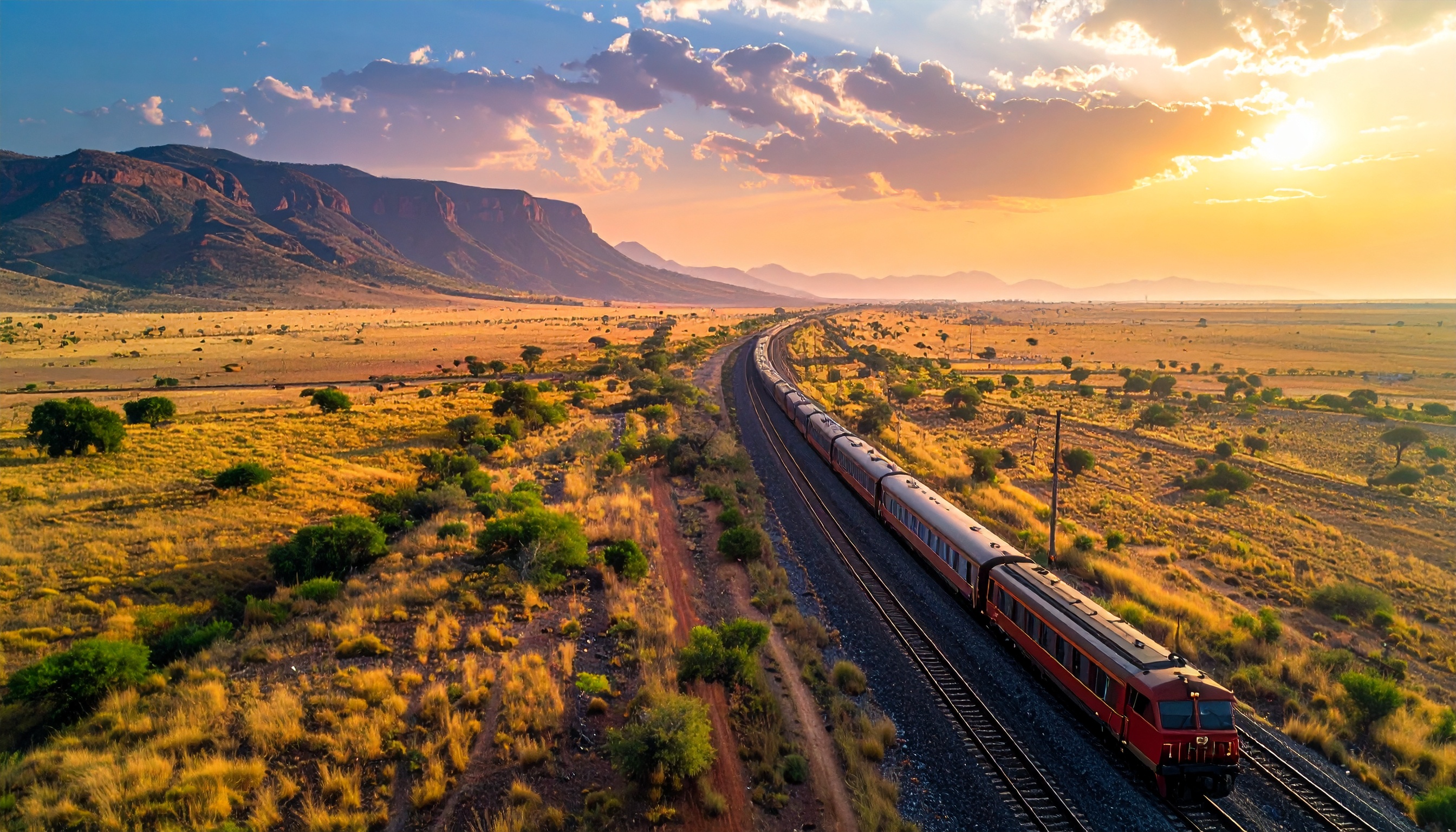 中国、対アフリカ融資が急減 2024年新規21億ドルに半減 通年で初の減少