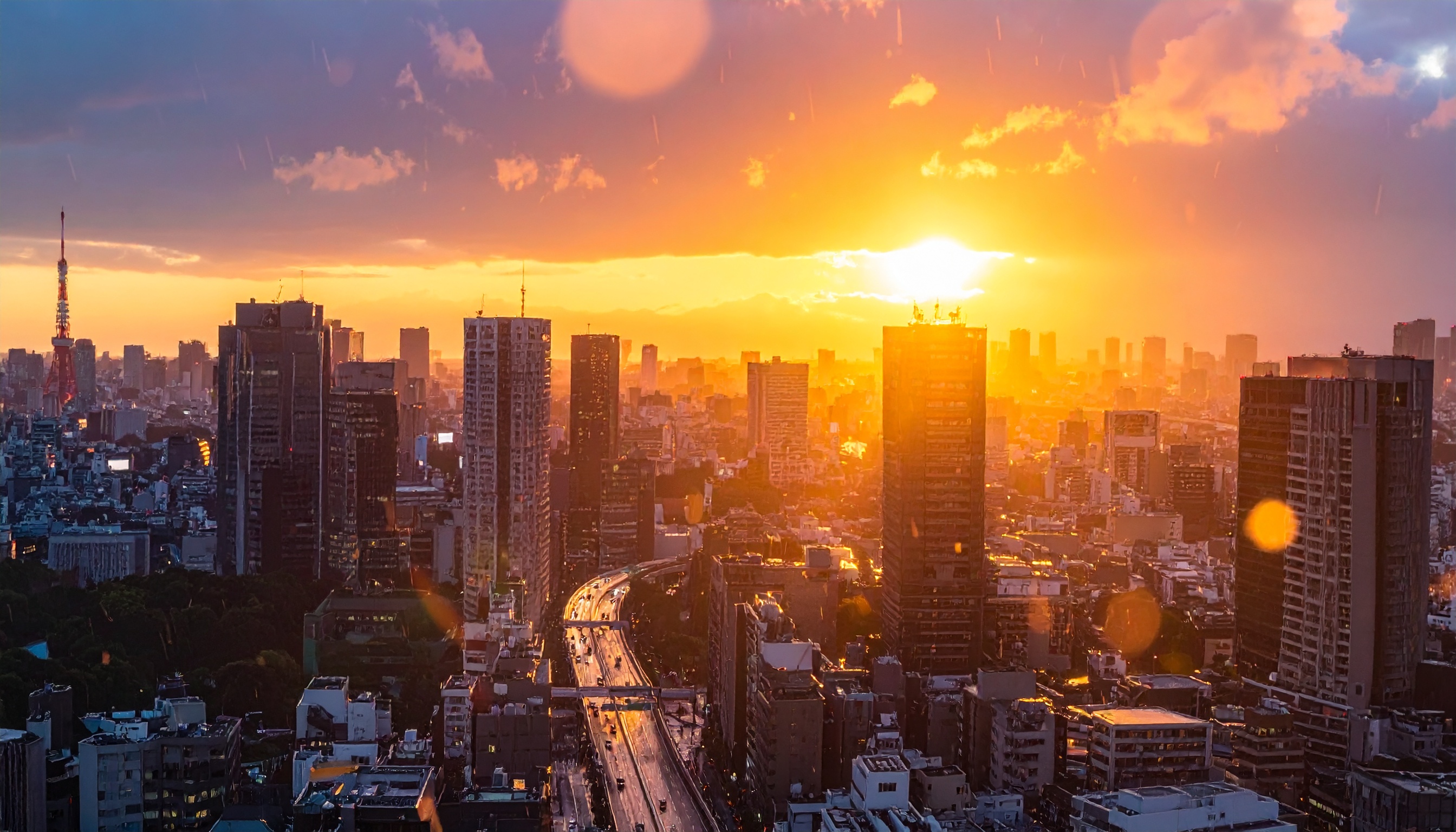 上野厚労相、外国人の生活保護を国で詳細把握へ 自治体任せの実務見直し