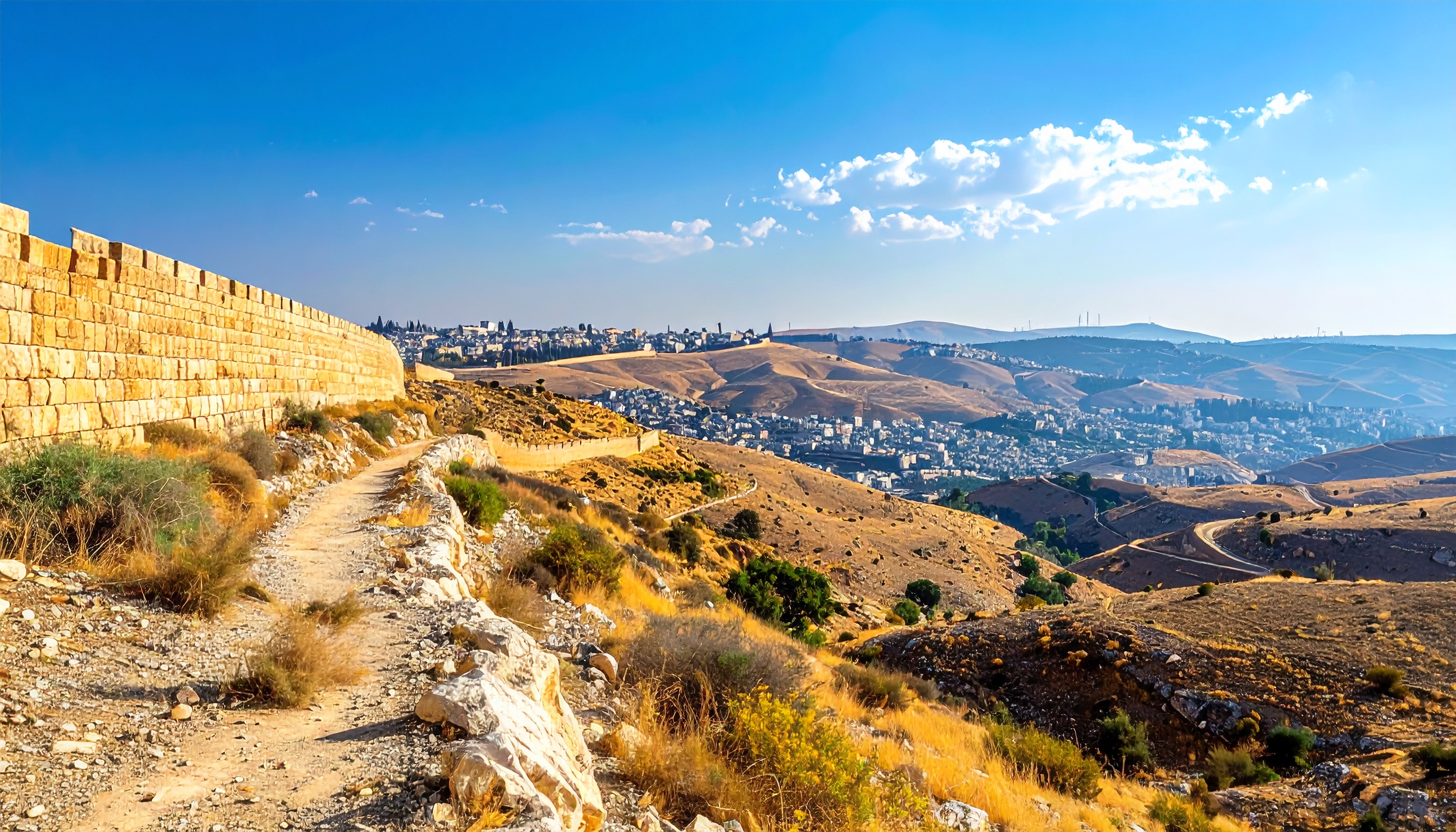 トランプ大統領 パレスチナ・ヨルダン川西岸併合に反対