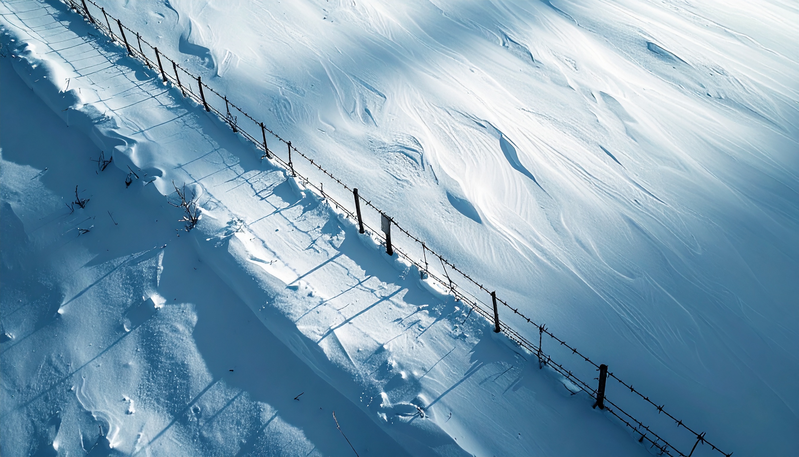 ウクライナ、ベラルーシ大統領ルカシェンコ氏を名指し制裁 支援網断絶を表明