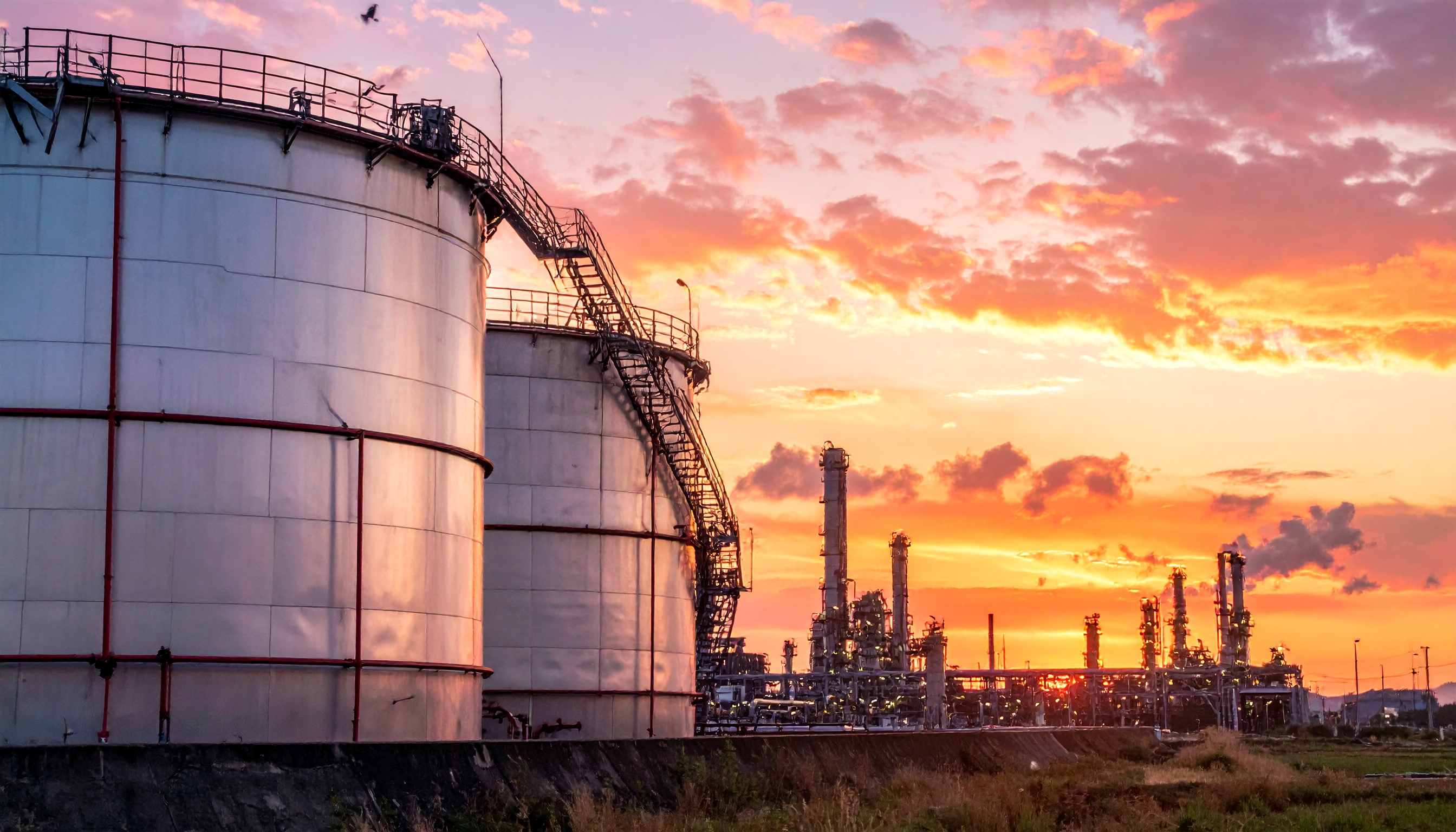 国際エネルギー機関（IEA）、加盟32カ国で協調放出 同日4億バレル供給合意