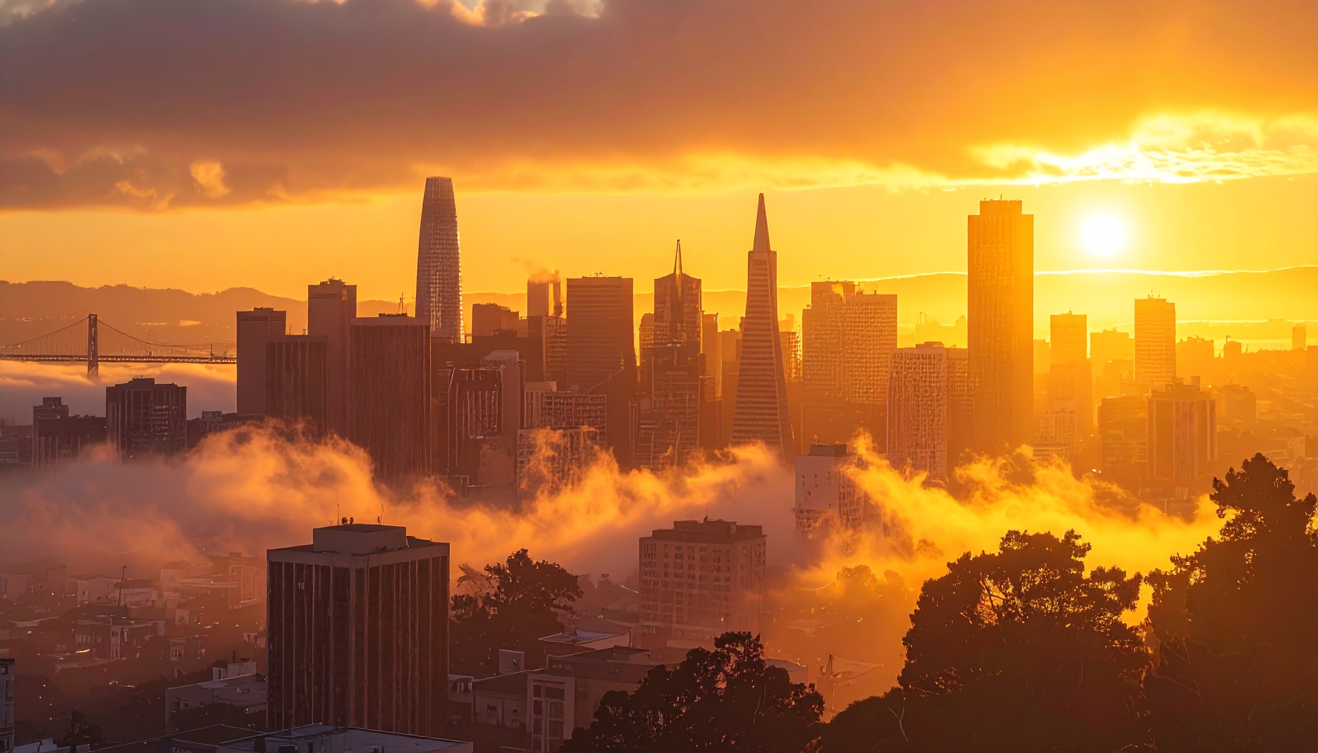 実業家イーロン・マスク氏、X買収巡り米陪審が投資家欺き認定