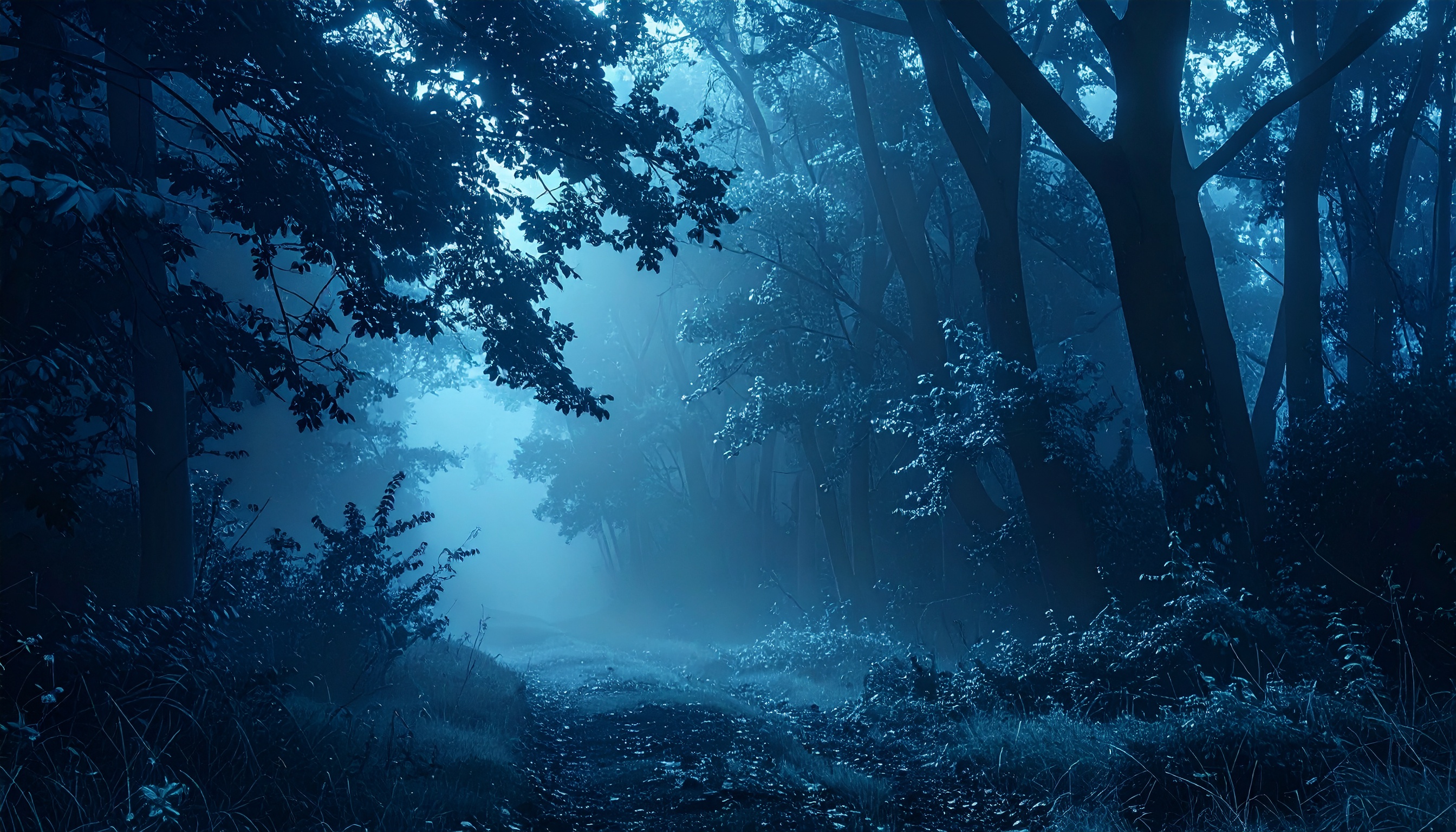 京都府南丹市の山林に11歳女児遺体遺棄、会社員を逮捕