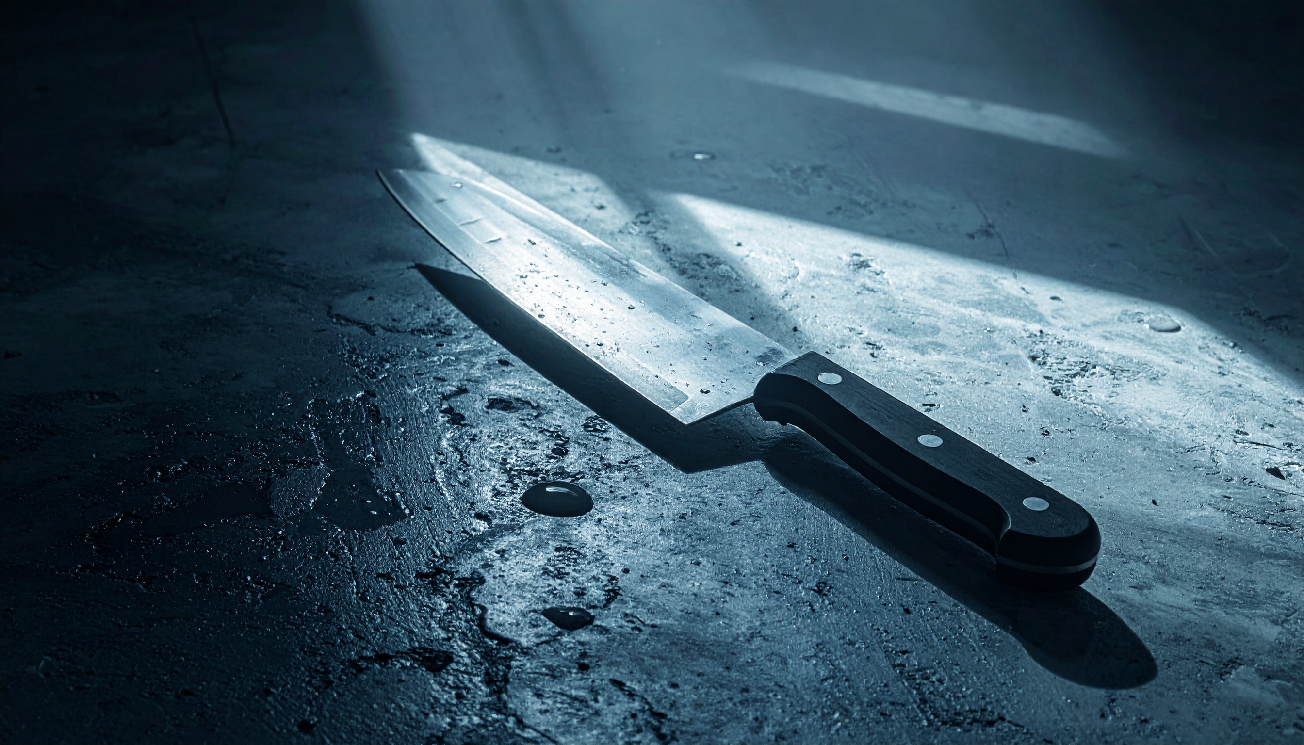 東京都千代田区永田町の参院議員会館で刃物所持の男を銃刀法違反容疑で現行犯逮捕