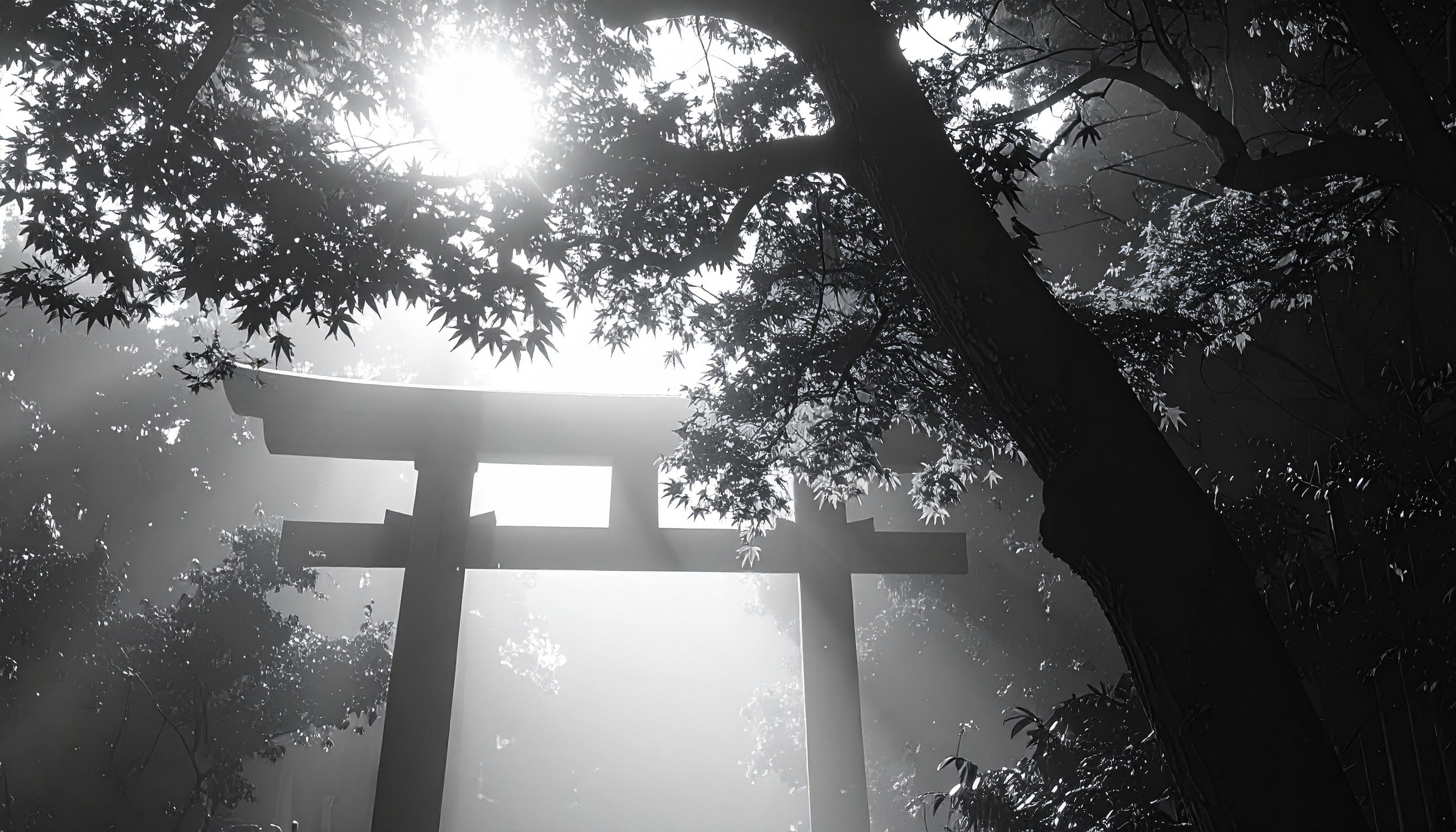 高市首相、靖国神社例大祭に真榊奉納 中国外務省が非難